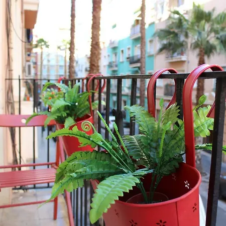 Apartamento El Coral - *